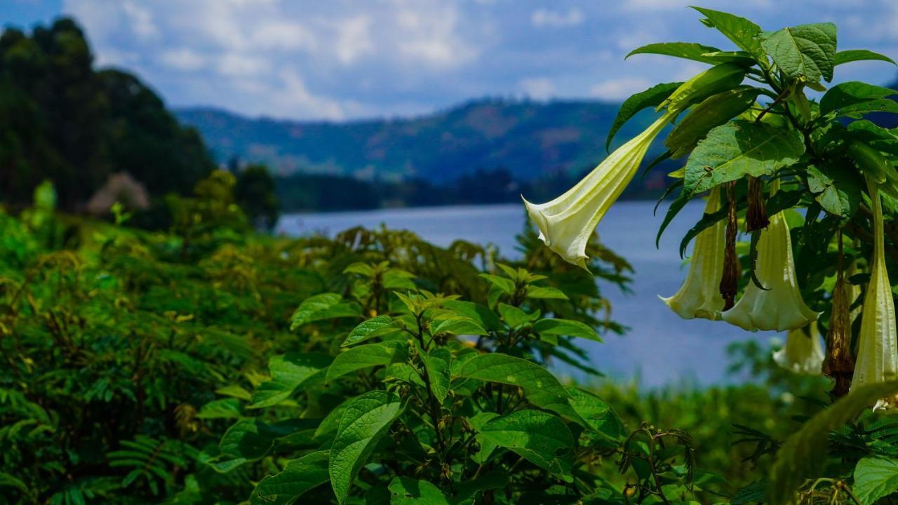 Paradise Eco-Hub Kabale Esterno foto